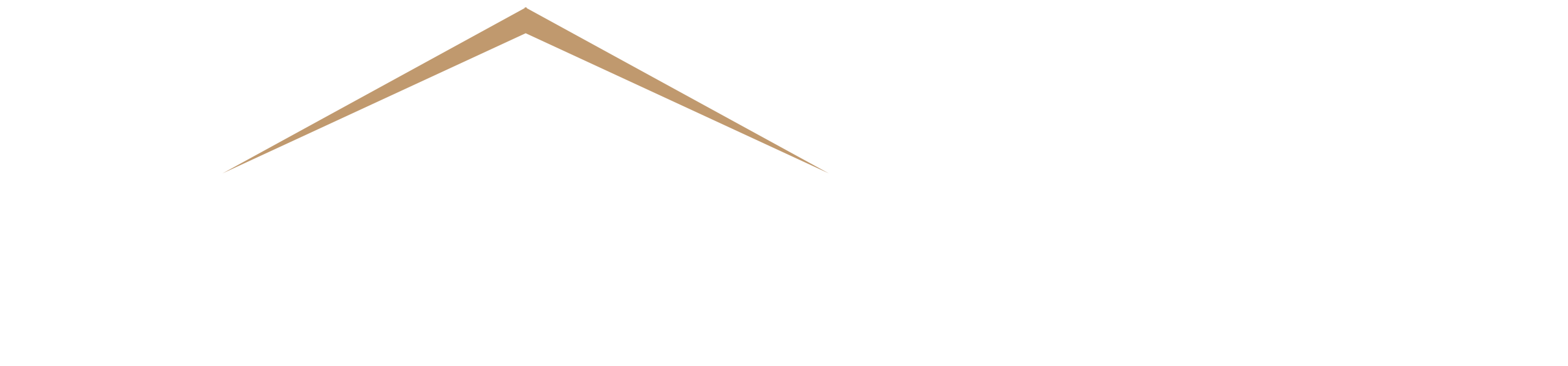 True Property Real Estate