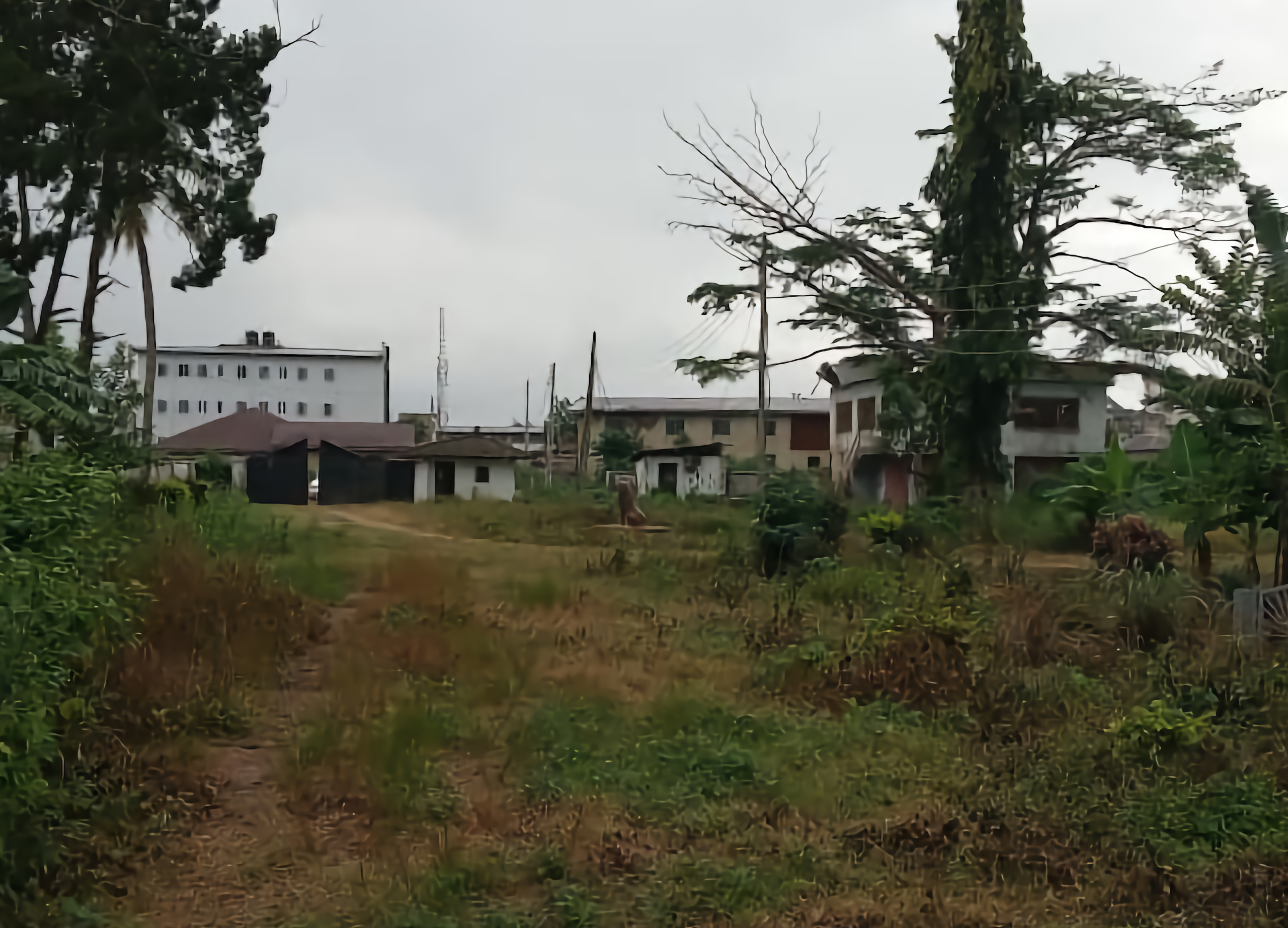 For Sale: 3.5 hectares of Land in Osogbo, Osun state for ₦700 Million Naira